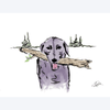 Love 4 Pets - Dog with a Branch Card - Kornapet.com