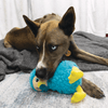 Kornapet.com-Kong Toughz Dodo - Kornapet.com